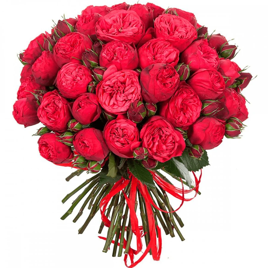 Розы Пионовидные