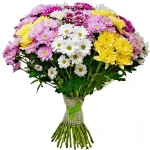 Хризантемы кустовые микс