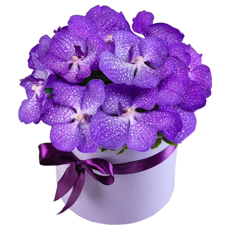 Композиция из 11 орхидей ванда