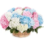 Корзина с цветами Цветочный взрыв