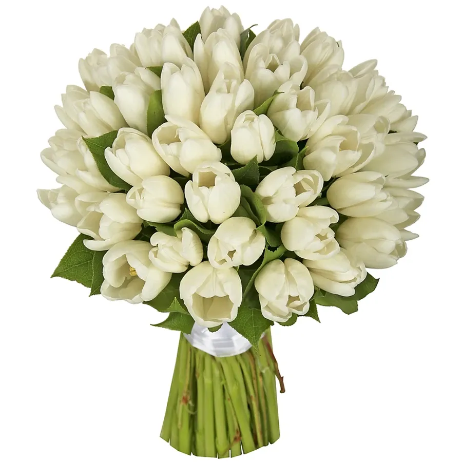 Тюльпаны белые